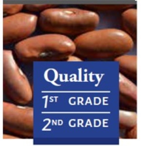 Light Red Kidney Beans by Mdeca Group SRL