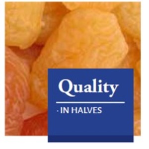 resources of Dried Peaches exporters