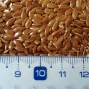 Flax Seeds by  Mdeca Group SRL 