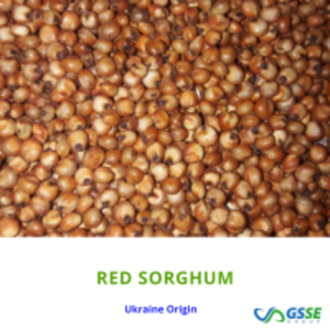 Sorghum Red by  Gsse Group 