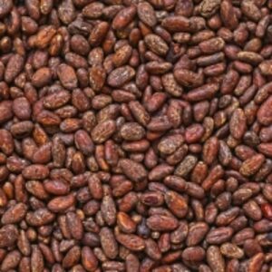 Cocoa Beans by Mister Exportir Indonesia