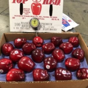 Fresh Apples by  Echo International Co 