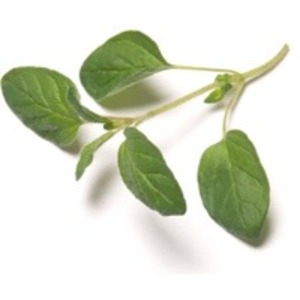 Oregano Oleoresin by  Enjay Marketing Services Pvt. Ltd. 