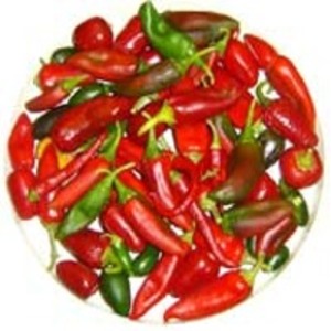 Paprika Oleoresin by  Enjay Marketing Services Pvt. Ltd. 