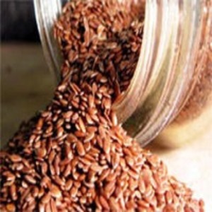 Flax Seed by  Enjay Marketing Services Pvt. Ltd. 