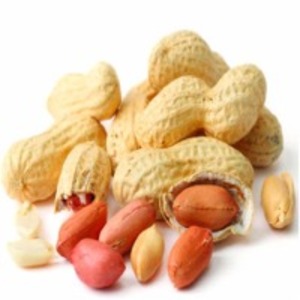 Peanuts by  Enjay Marketing Services Pvt. Ltd. 