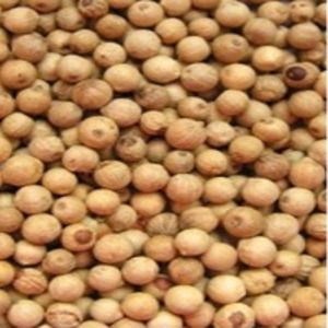 White Pepper Oleoresin by Enjay Marketing Services Pvt. Ltd.