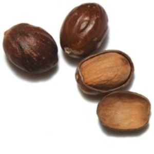Nutmeg by  Enjay Marketing Services Pvt. Ltd. 
