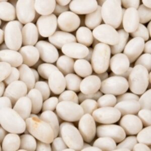Small White Bean by  Firat Group Food Supply 