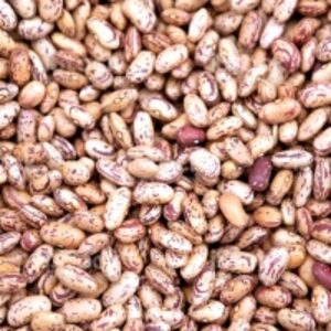 Small Reddish Bean by  Firat Group Food Supply 