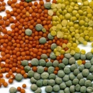 Lentils by  Firat Group Food Supply 