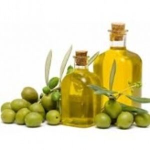 Olive Oil by Firat Group Food Supply