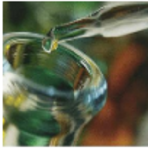 Dye Fixing by  J Sai International 