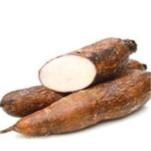 Cassava