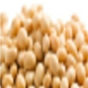 Soya Seed by  Mohiddin Lanka Foodstuff Trad Llc 