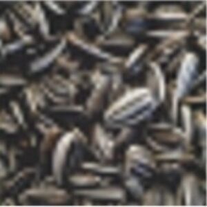 Sunflower Seeds by Mohiddin Lanka Foodstuff Trad Llc