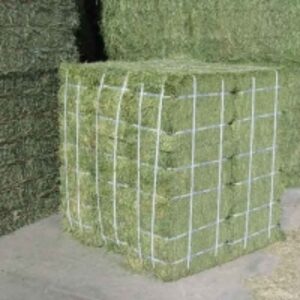  Alfalfa Hay Double Compressed Bales 
