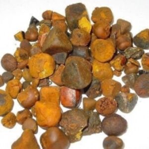 Cow Gallstones