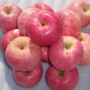  Jonagored Apples 