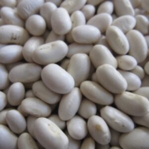 White Butter Beans by  Soupin Jean Stephane 