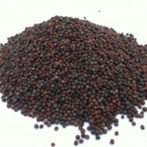  Canola Seeds 
