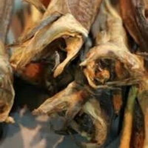 Stock Fish by  Soupin Jean Stephane 