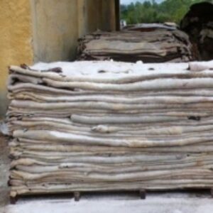  Wet Salted Goat Skin 