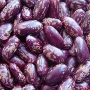 Purple Kidney Bean by  Soupin Jean Stephane 