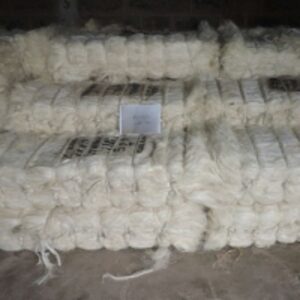  Sisal Fiber 