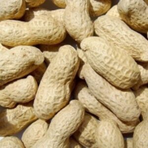  Peanuts Inshell 