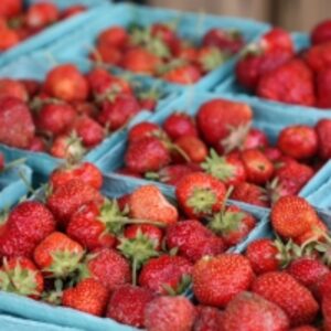  Fresh Strawberries 
