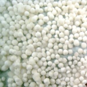  Quality Tapioca Pearl 