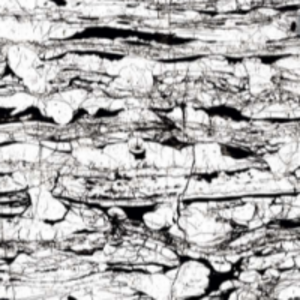 Floor Tiles by  Pero Ceramic 