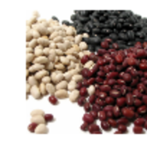 New Crop Red Kidney Beans by  Trade Build Limited 