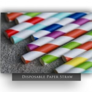 Disposable Paper Straw by  Orenta Exports 