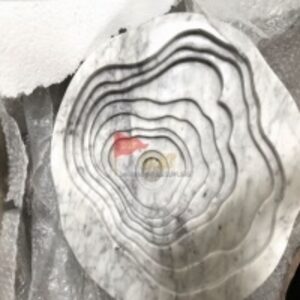 Counter Top Sink by  Dhariwal Group 