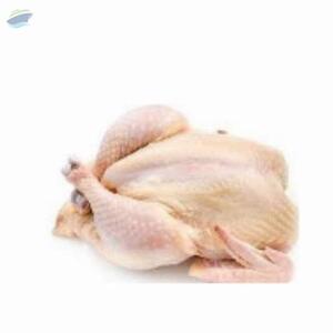 Chicken by A Trading