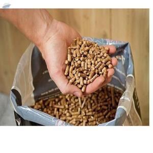 Wood Pellet Chile by  Guanxi Technologies 