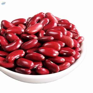 Red Kidney Beans  by  Guanxi Technologies 