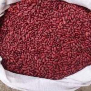  Red Kidney Beans  - Image 3