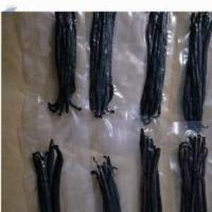 Vanilla Beans Grade A - Image 2