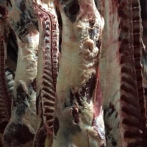  Beef  by  Metta Enterprise 