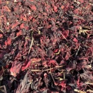 Dried Hibiscus Flower by  Malvaceae Limited 