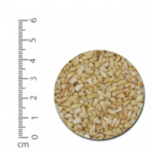 Raw Cashew Kernel Bb by  Thuy Van Production Import Export Company Limited 