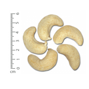 Cashew Ww160 by Thuy Van Production Import Export Company Limited