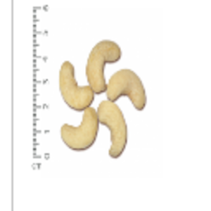 Raw Cashew Kernel Ww320 by  Thuy Van Production Import Export Company Limited 