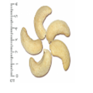 Raw Cashew Kernel Ww180 by  Thuy Van Production Import Export Company Limited 