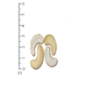 Raw Cashew Kernel Ws by  Thuy Van Production Import Export Company Limited 