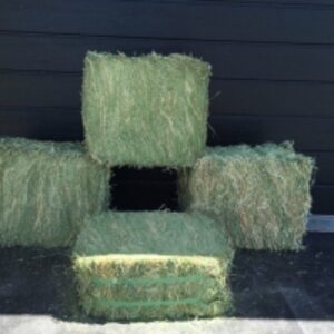  Alfalfa Pallets For Sale 