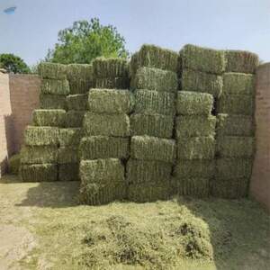 Alfalfa Hay Bales